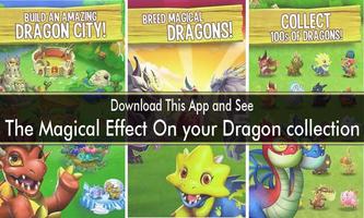 Guide Dragon City Special Affiche