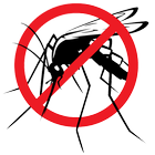 Dengue icono