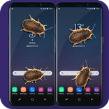 Bug On Screen Scary Joke - Funny Joke