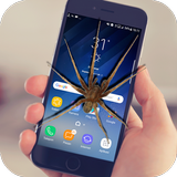 Spider On Screen Scary Joke - Hissing Joke 图标