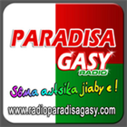 Paradisagasy icon