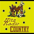 Hits Radio Country icône