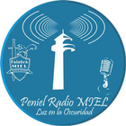 Peniel Radio MIEL-icoon