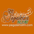 Pegaisima 91.7 FM aplikacja
