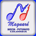 maguare estereo