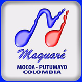 maguare estereo ícone
