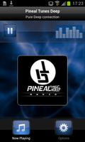 Pineal Tunes Deep 海报