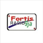 Fortis Radio 9 ikon