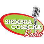 SIEMBRA COSECHA RADIO ikon