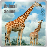 animal sounds ícone