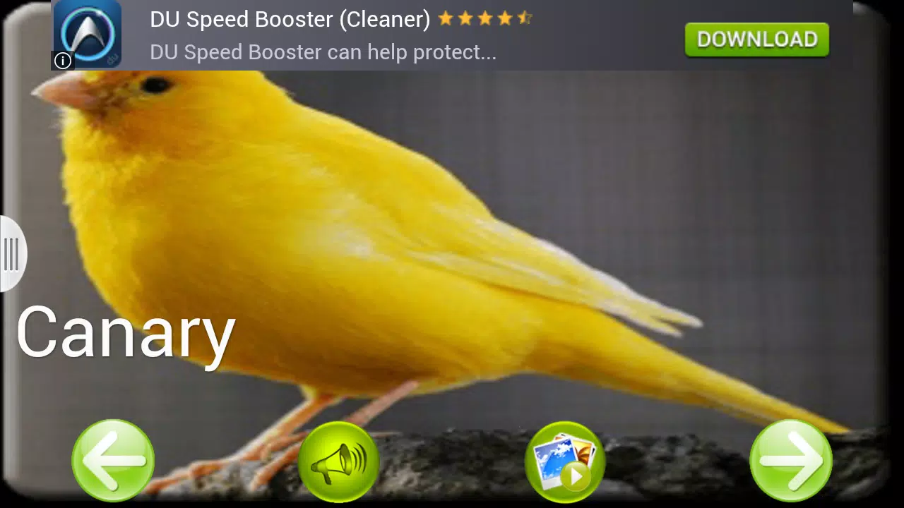 animal sounds APK for Android Download animal sounds APK for Android Download