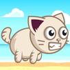 Cat Adventures Game APK