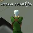 Soldats de vétérans 3D