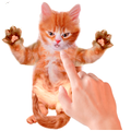 Tickle Talking Cat