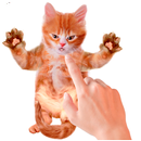 Tickle Talking Cat APK