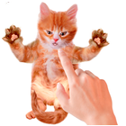 Tickle Talking Cat icône