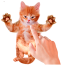 Tickle Talking Cat APK