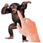 Tickle Talking Monkey icône