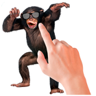 Tickle Talking Monkey icon