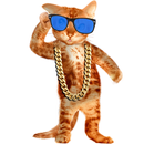 Amazing Cat APK