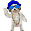 Amazing Dog APK