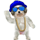 Amazing Dog APK