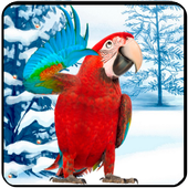 Amazing Talking Parrot icon