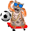 Amazing Talking Tiger APK