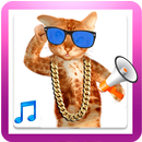 Funny Cat Sounds APK