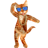 Danse chat qui parle icon