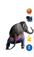 Dancing Talking Elephant Plakat