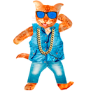 Dancing and Talking Cat APK