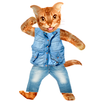 Funny Talking Cat APK