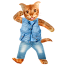 Funny Talking Cat APK