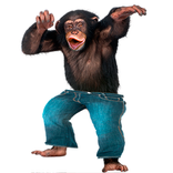 Funny Talking Monkey