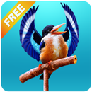 Real Talking Bird APK