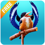 Real Talking Bird