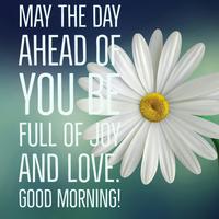 Poster Morning Greetings and Quotes