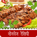 Non-Veg Recipe(in Hindi) APK