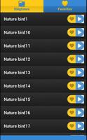 Nature Birds For Ringtones تصوير الشاشة 1