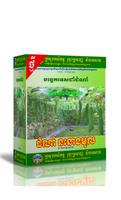 បច្ចេកទេសដាំដំណាំននោងមូល Affiche