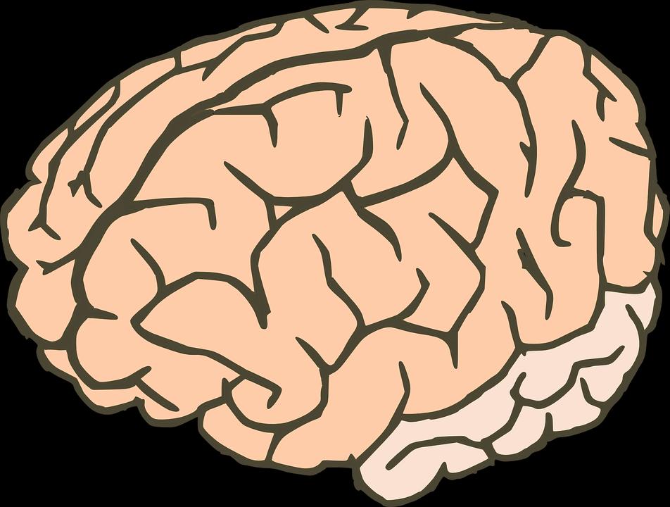 Brain apk