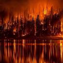 Огонь [Fire] APK