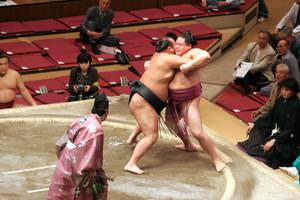 Сумо [Sumo] 截圖 1