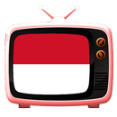 Indonesia tv APK