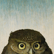 ”Bosch Camera
