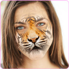 Animal Face Change - Face Swap icône