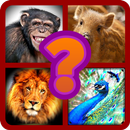 Animal Quiz - guess the animal APK