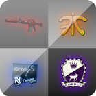 CS:GO Quiz ikona