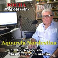 Aquarela Nordestina 海報